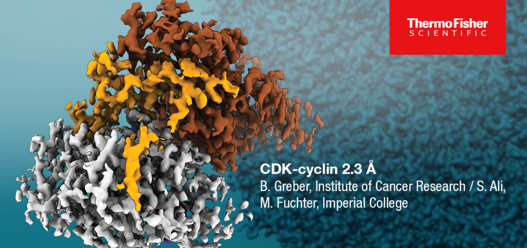 Cryo-EM